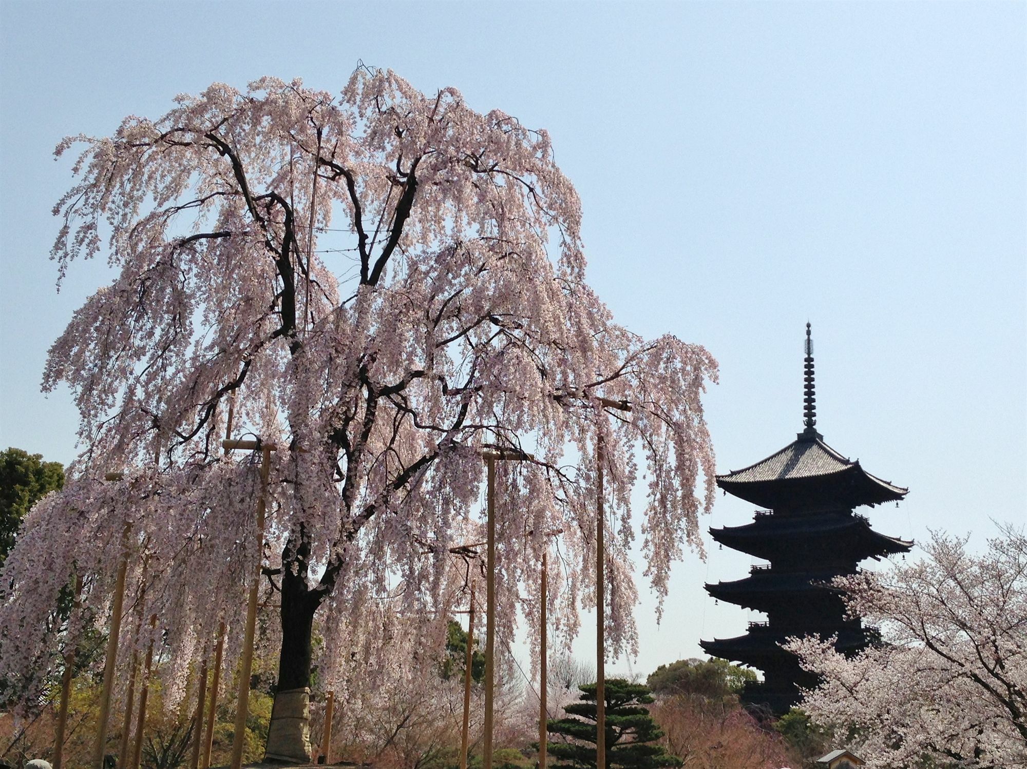 Hotel Livemax Kyoto Gojo Екстериор снимка